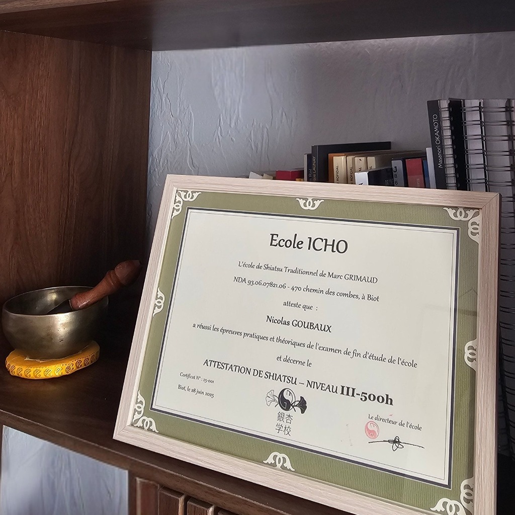 photo diplome Nicolas Goubaux 