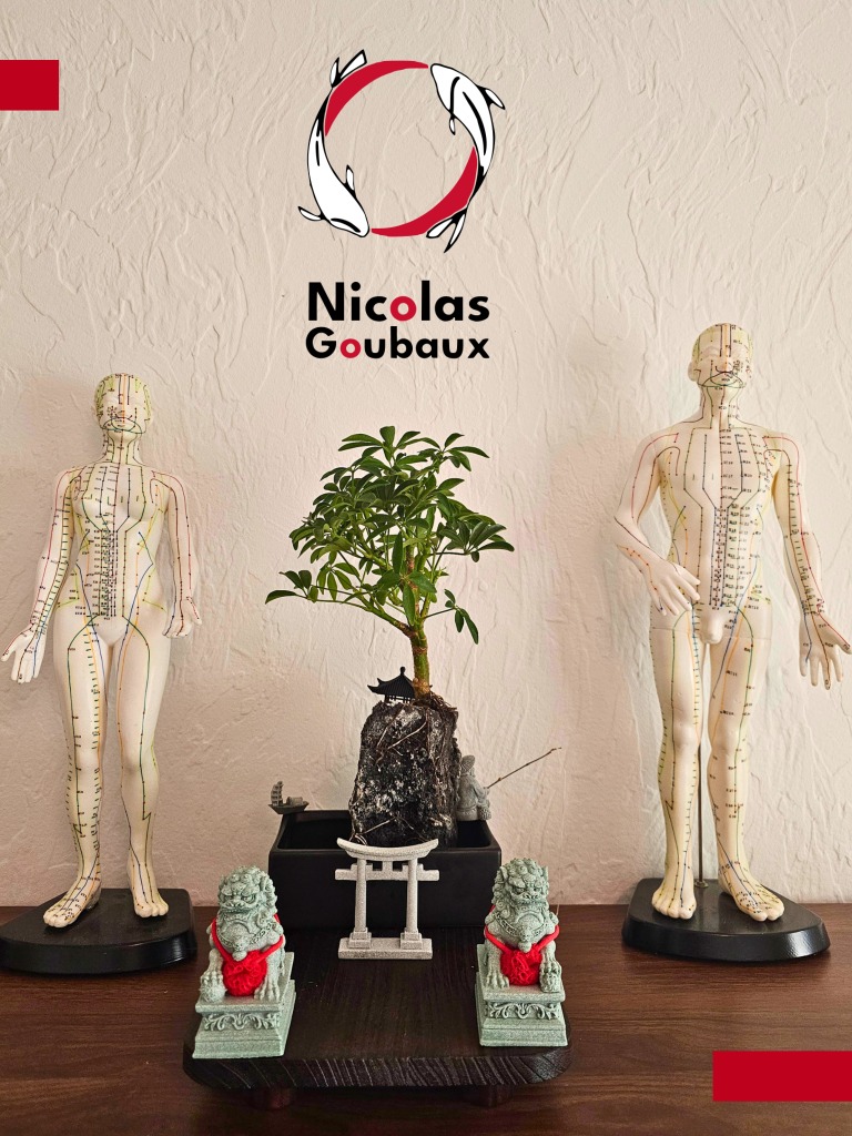 photo seance Nicolas Goubaux 