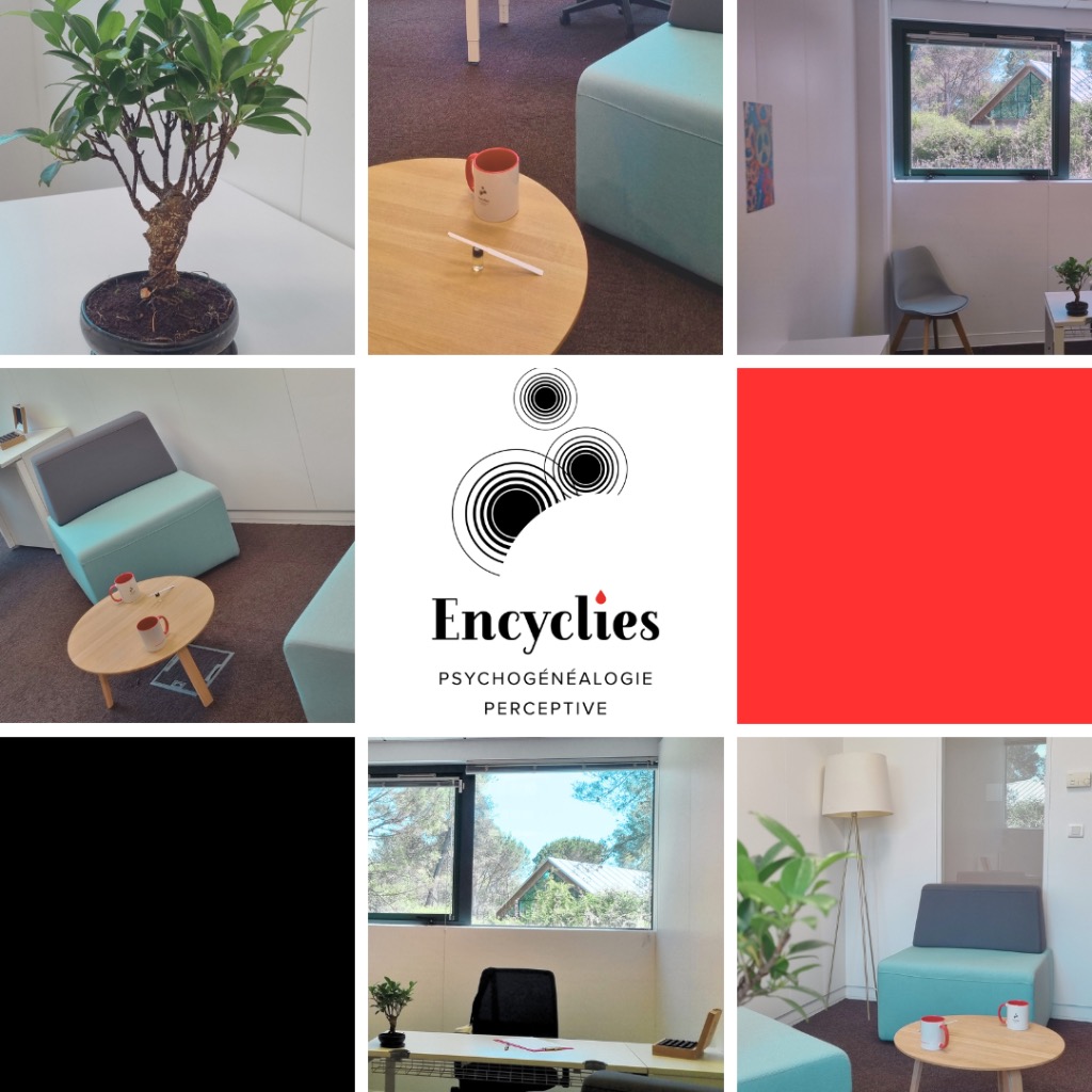 photo cabinet Encyclies, Psychogénéalogie Perceptive 