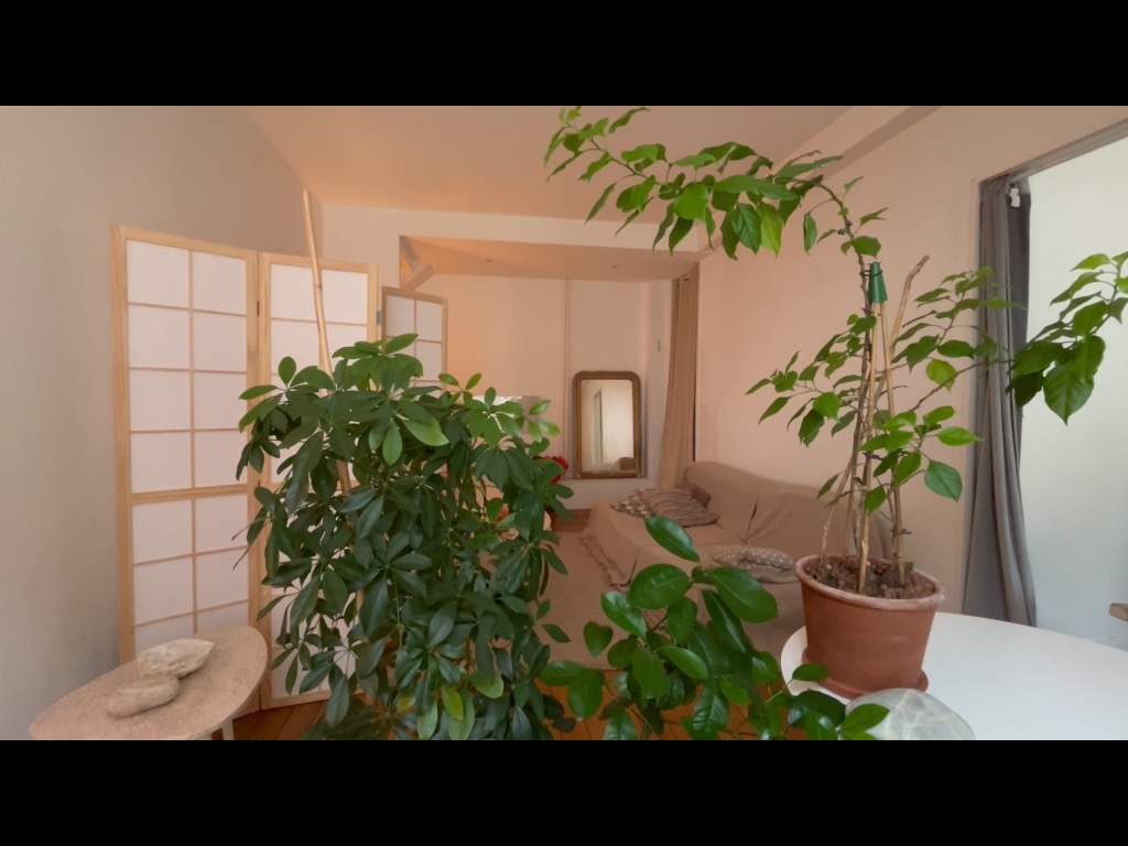 photo cabinet Barbara Borquet