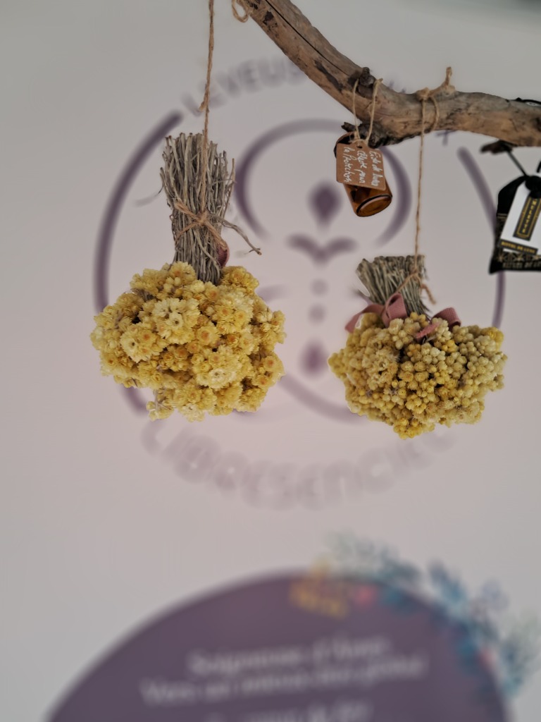 photo activite Sabrina Nucci