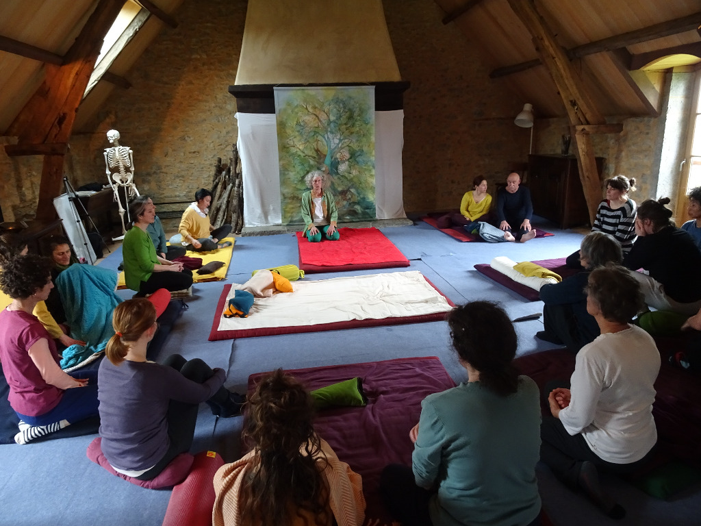 photo cabinet ShiatsuFormationPro