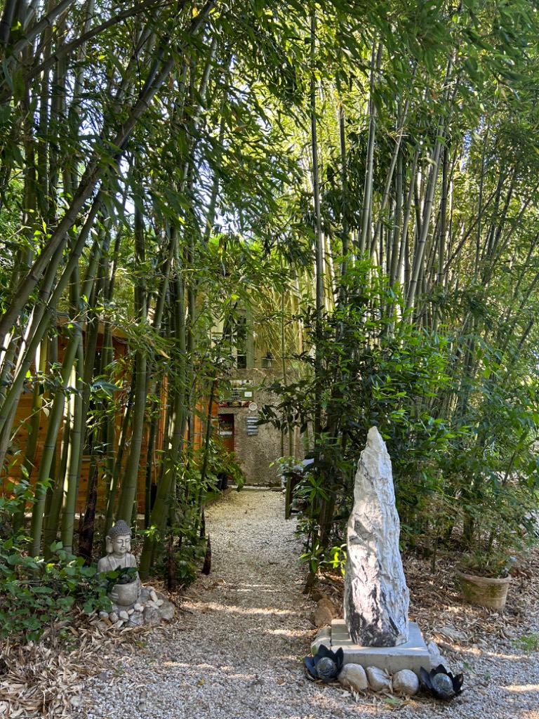 photo activite L’Essence Bambou