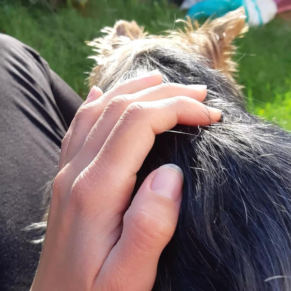 photo activite Lorrine Frandino