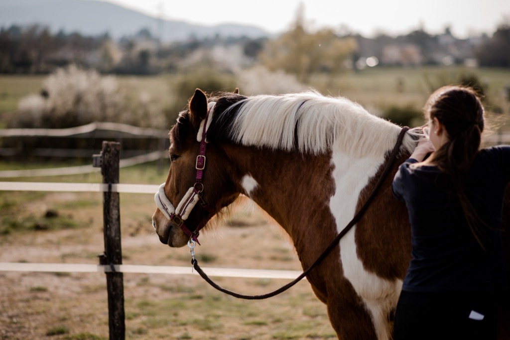 photo seance Lorrine Frandino