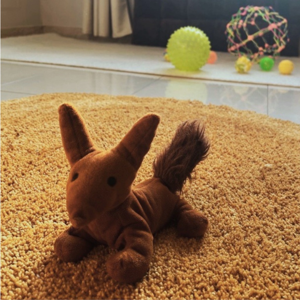 photo activite Rébecca Comazzi - Graine d’Acacia EI