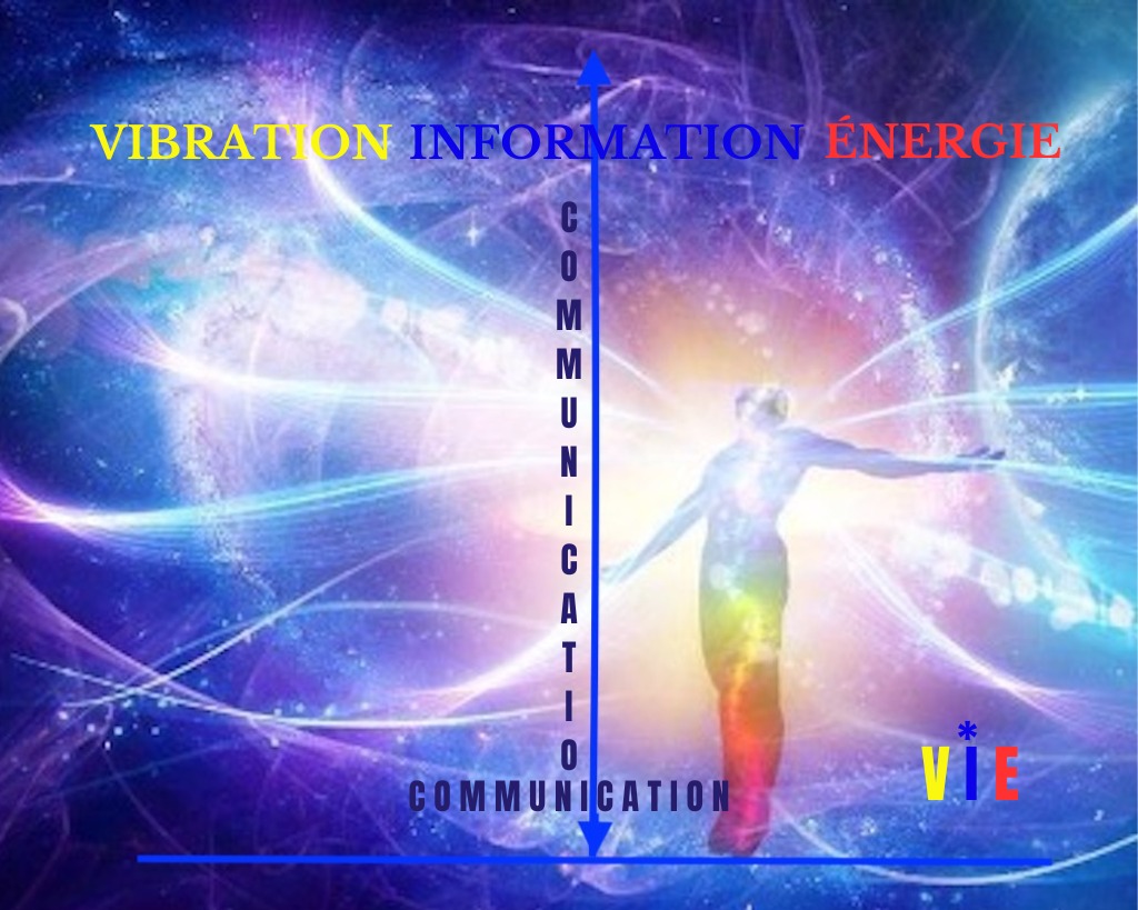 photo diplome Astrid VASSE LOUASSIER - SOLEILdelaVIE17