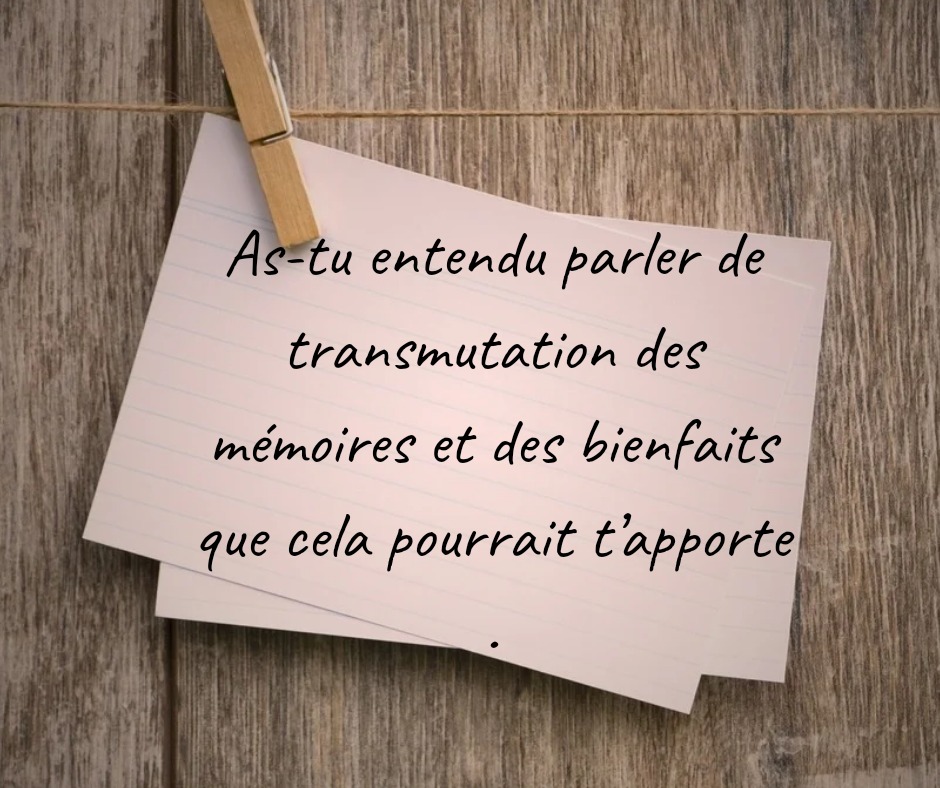 photo seance Sev’harmonie