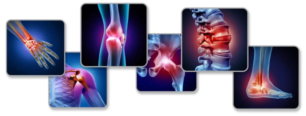 photo activite Orlane RIOU