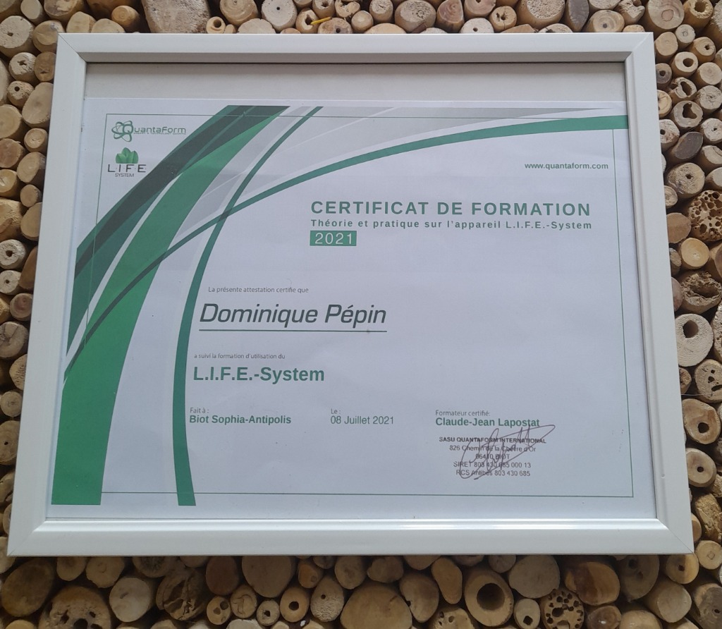 photo diplome Dominique Pépin