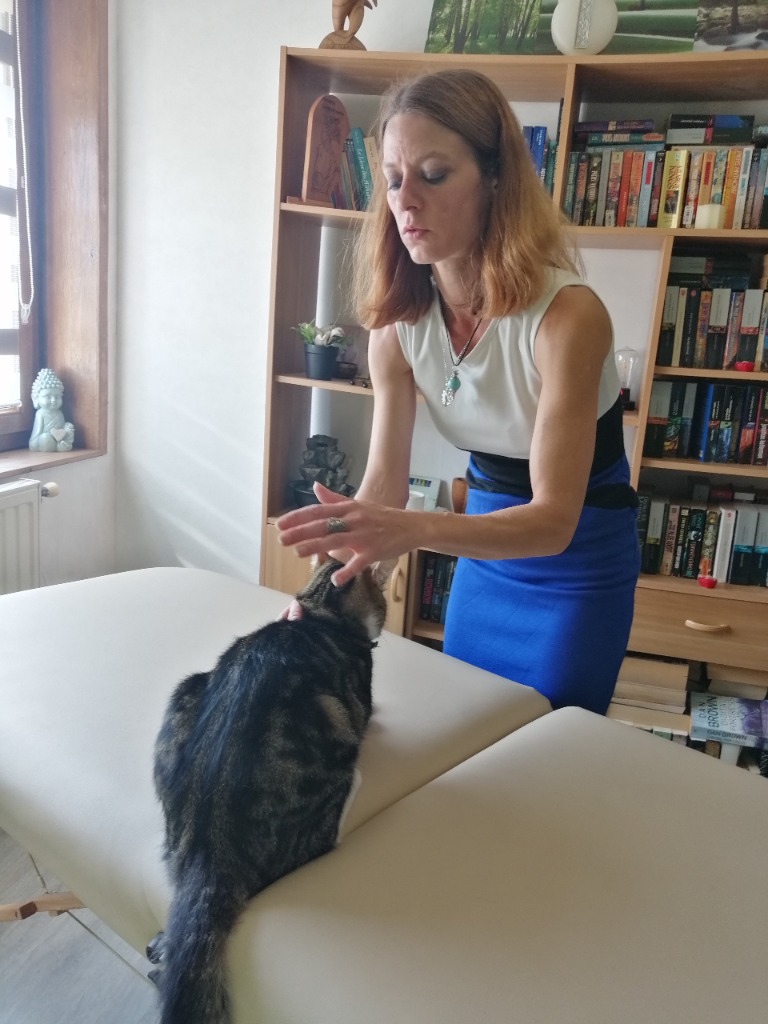 photo activite THE LIGHT SEEKER (laetitia cardon)