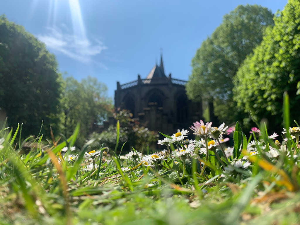 photo seance Lucas Manganelli