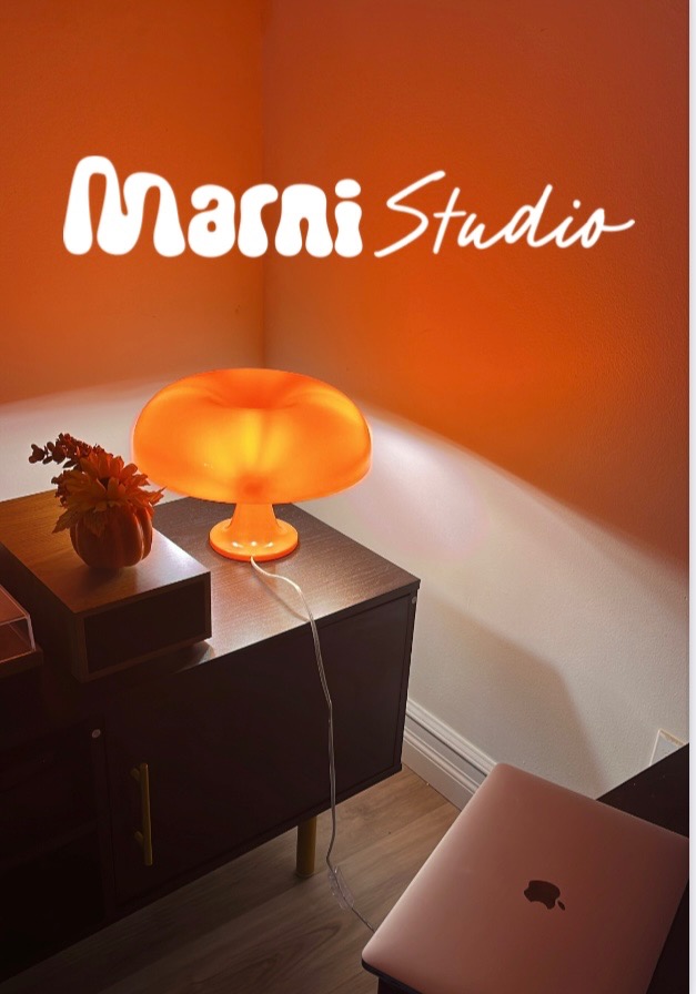 photo cabinet Marni Lecoustre