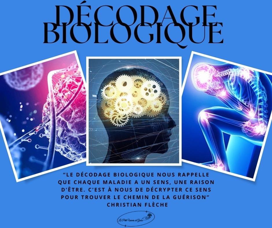 photo seance GRAZIELLA MULOT