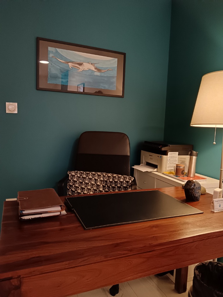 photo cabinet Thomas LEPARQUOIS