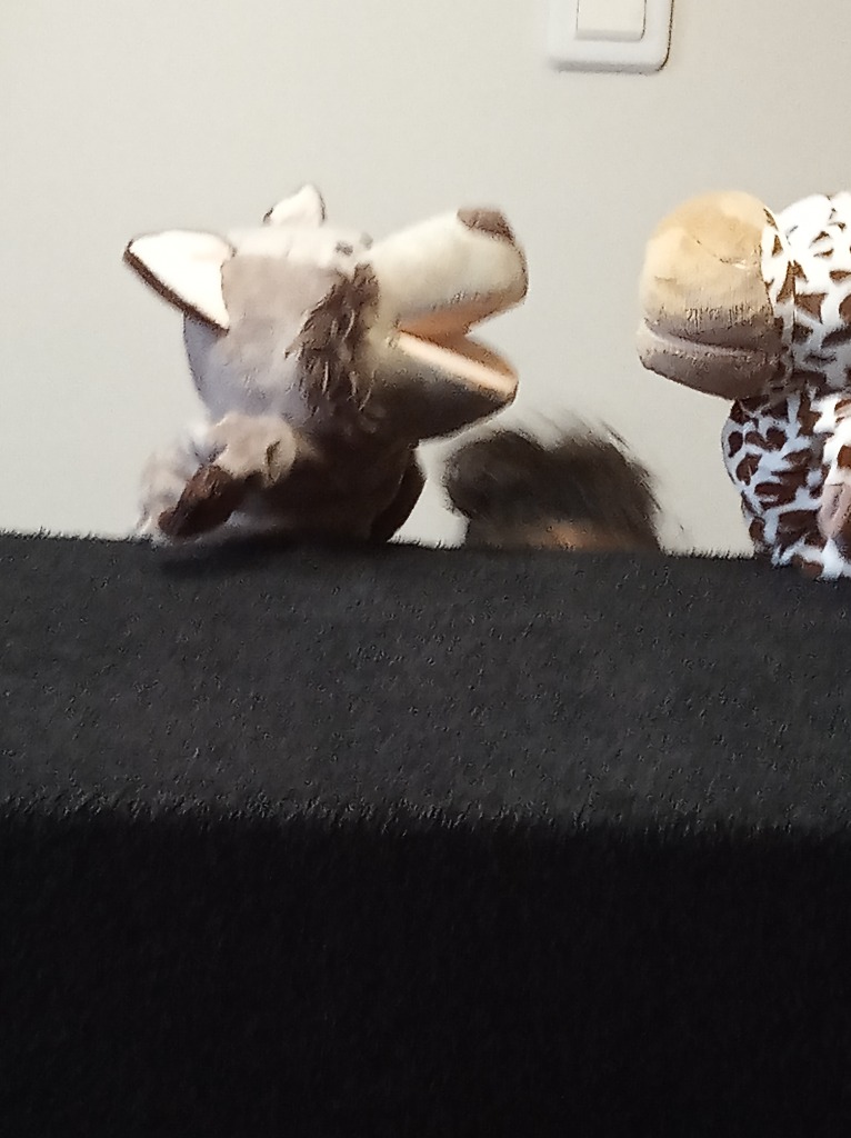 photo cabinet Laëtitia Vermeulen