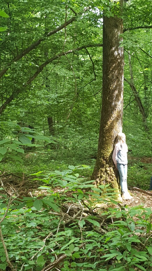 photo activite L’Arbre au Cœur de l’Être 