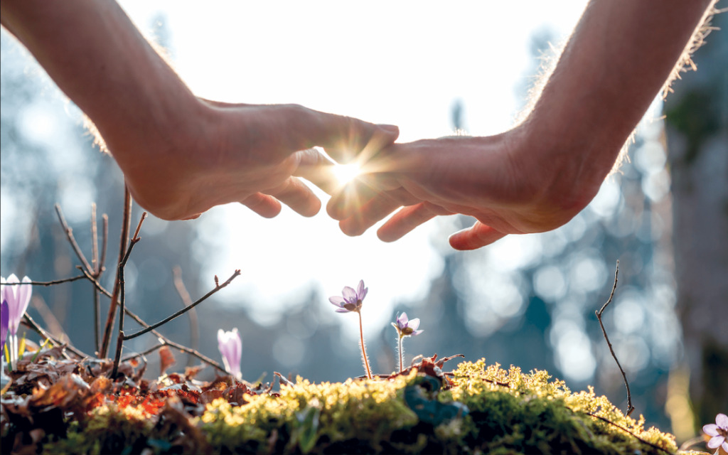 photo seance COUPE Mary