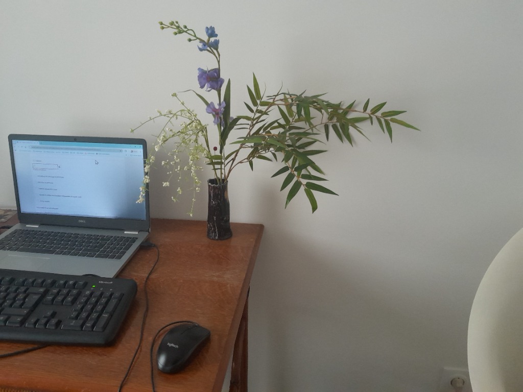 photo seance Jérémy Giroux Sophrologue