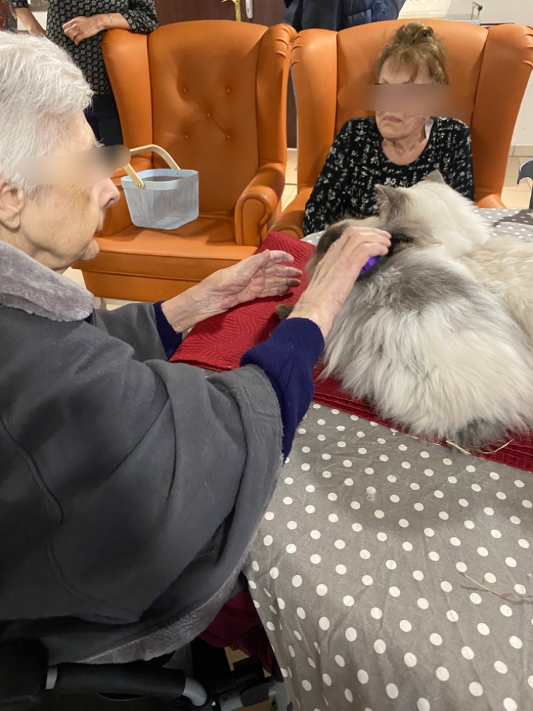 photo seance Catzen Médiation animale