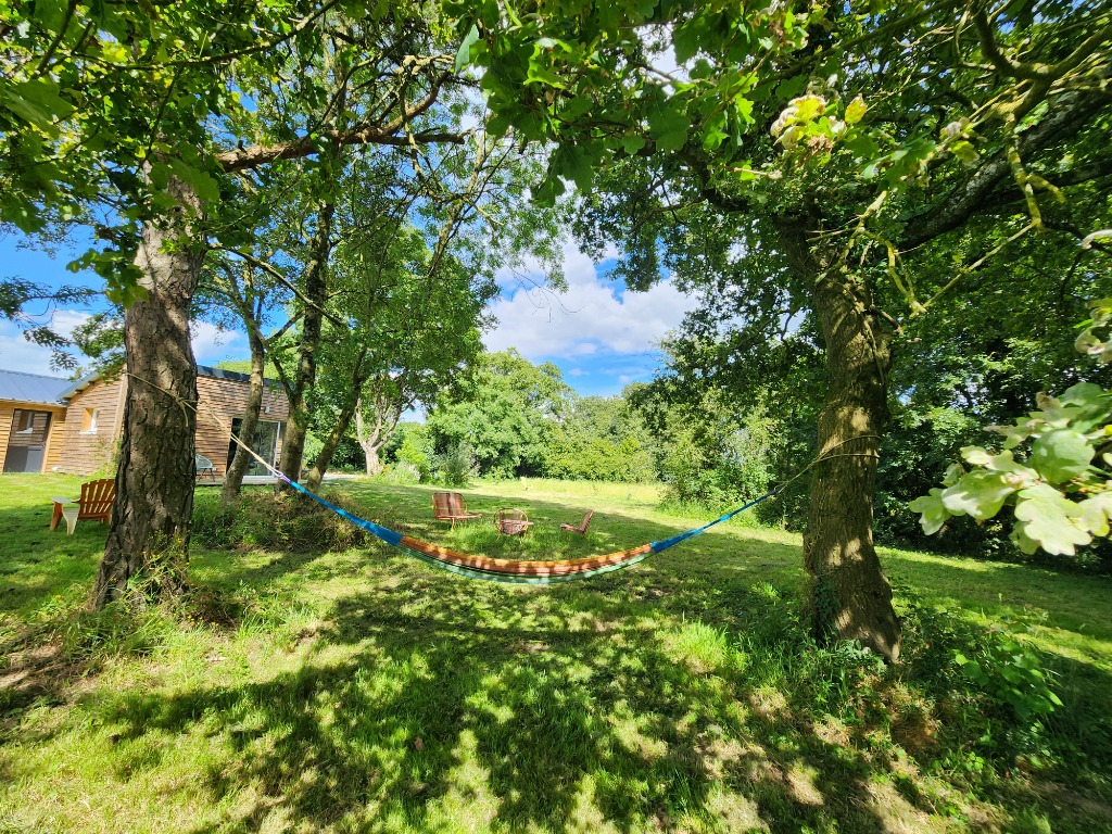 photo seance Sandrine Dejoie HappyThérapeute Transgénérationnel