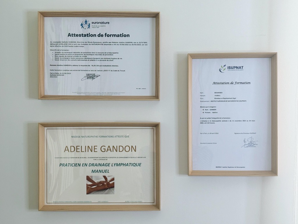 photo diplome Adeline GANDON