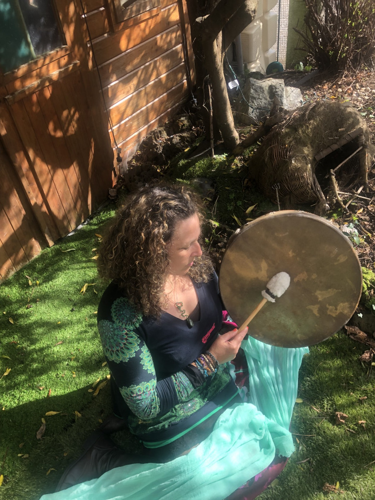 photo activite De Chrysalide à papillon