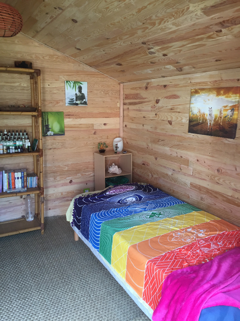 photo cabinet De Chrysalide à papillon