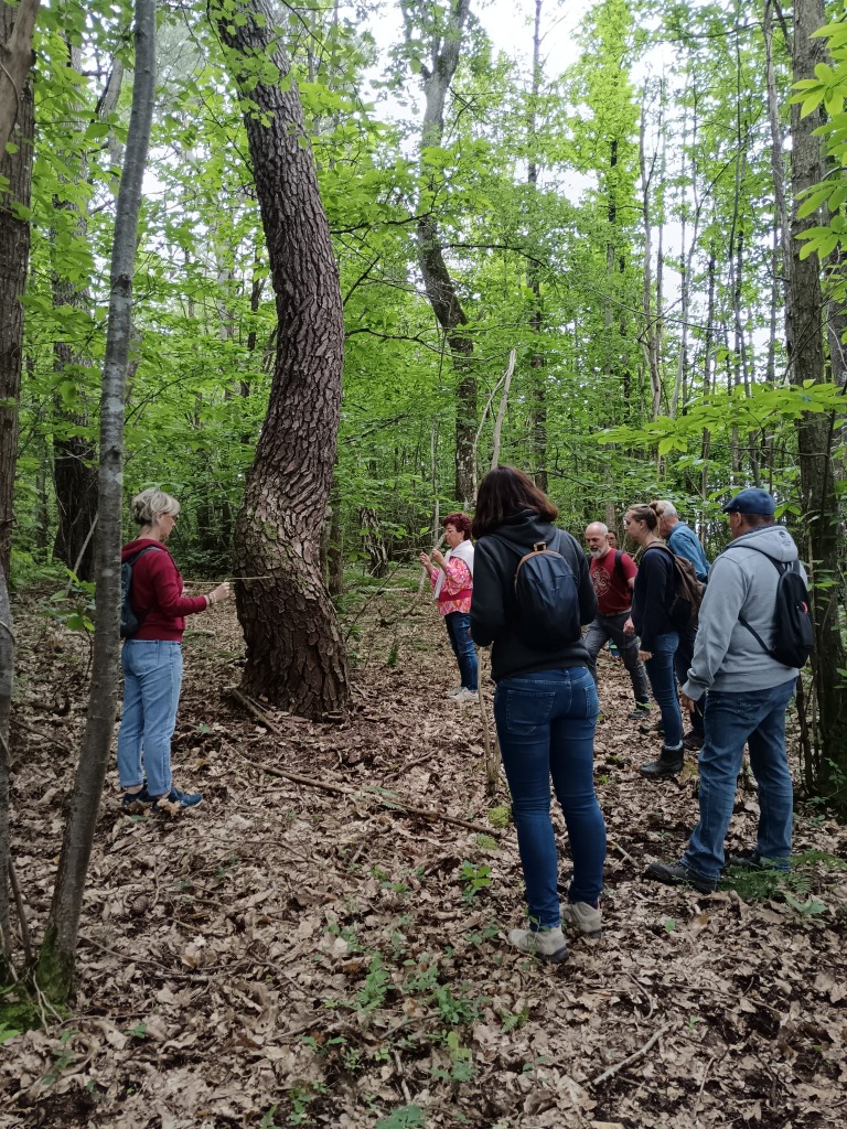 photo activite SG Géobiologie