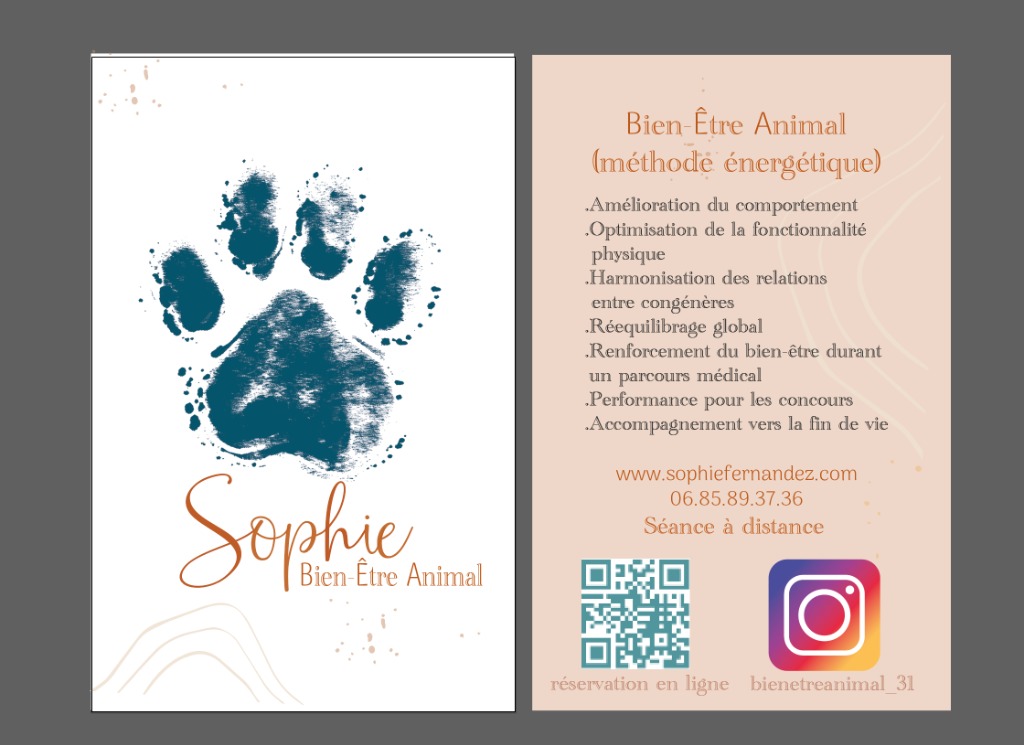 photo activite Sophie fernandez