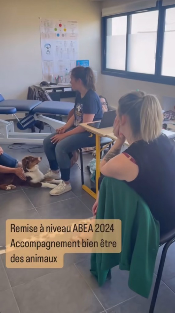 photo cabinet Sophie fernandez