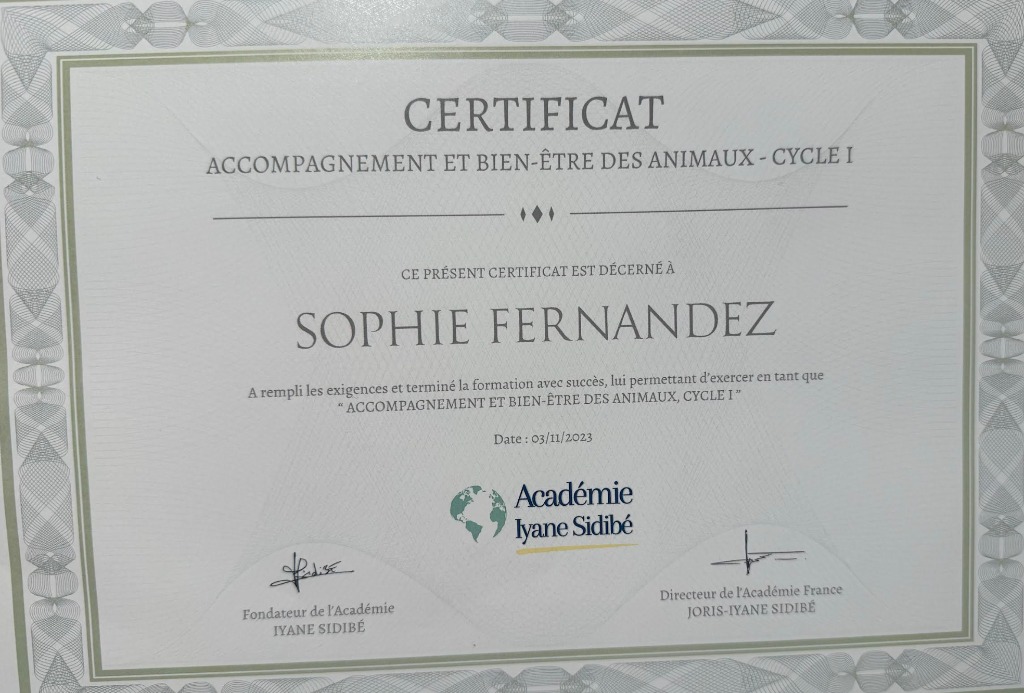 photo diplome Sophie fernandez