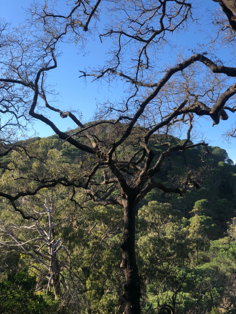 photo activite Ingrid Marie DANTAS