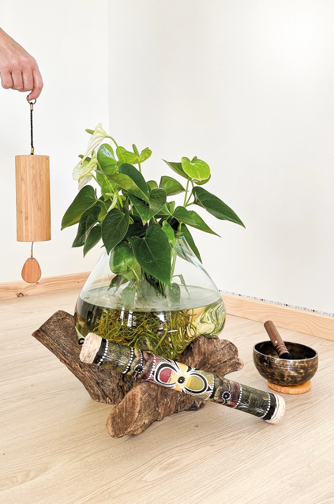 photo activite Perchais Isabelle