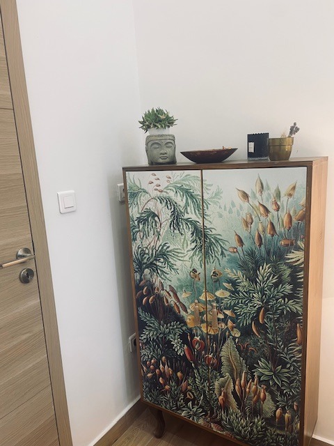 photo cabinet Mag Hypnose 