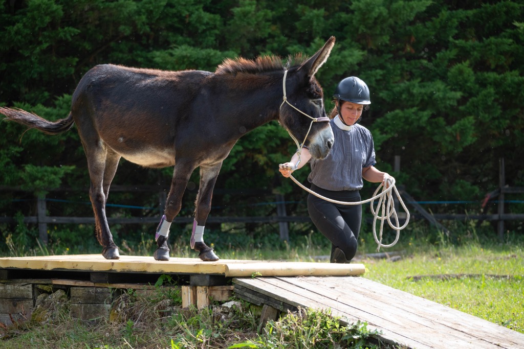 photo portrait Equi’Phine