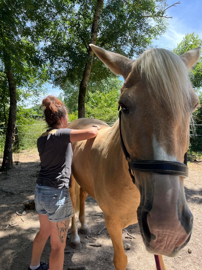 photo seance Equi’Phine