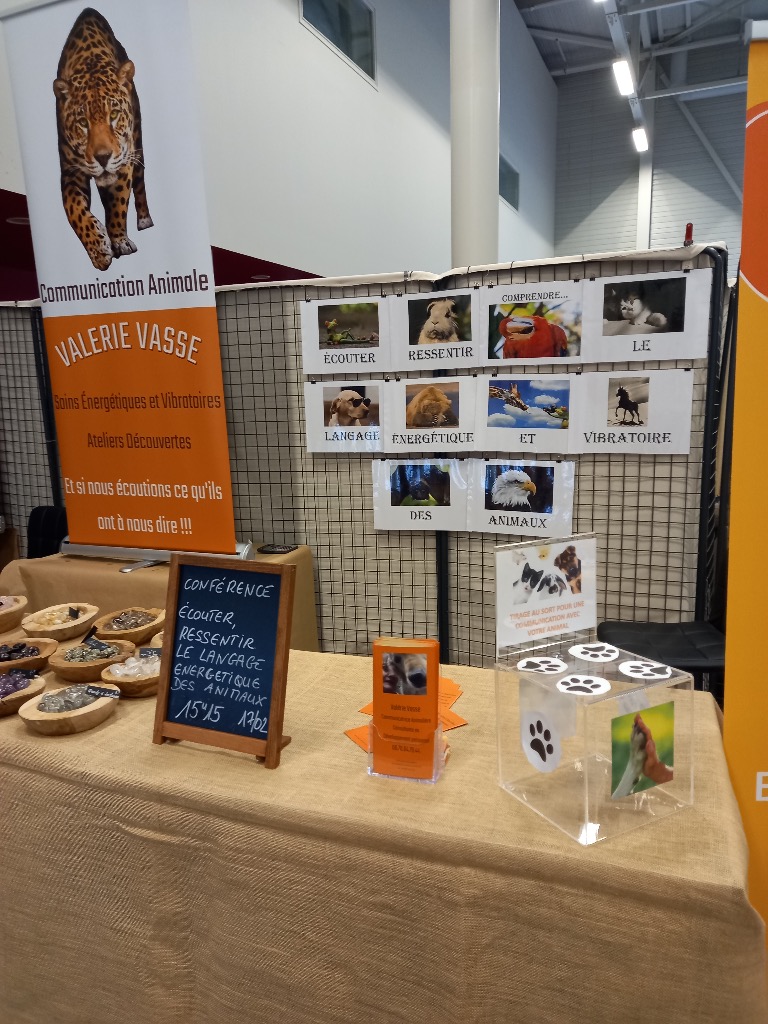 photo activite Valérie Vasse