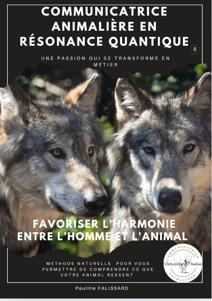 photo portrait Pauline Falissard 