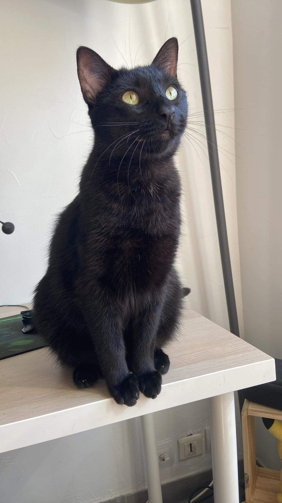 photo seance Pauline Falissard 