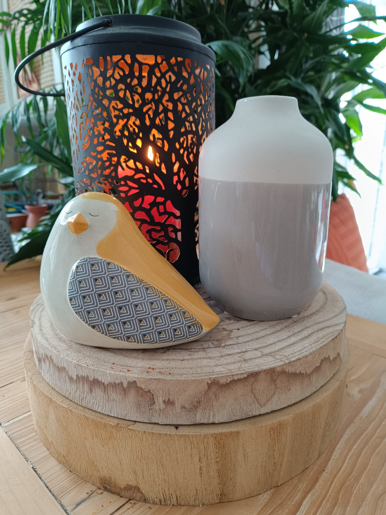 photo seance Sophie LAIGNEL - ENERGIES INTERIEURES