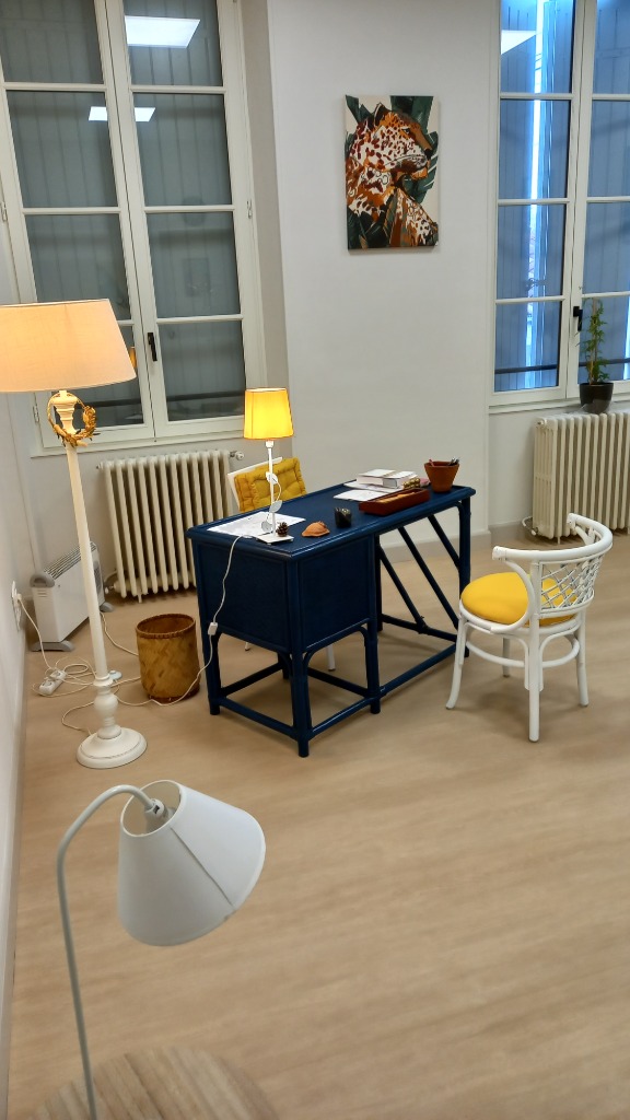 photo cabinet BONNEMAZOU 