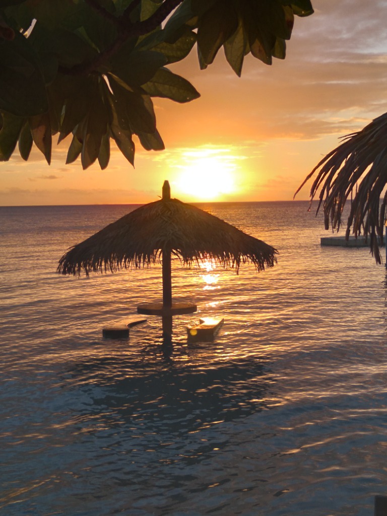 photo cabinet Retour aux sources ,coach de vie ,chamanisme