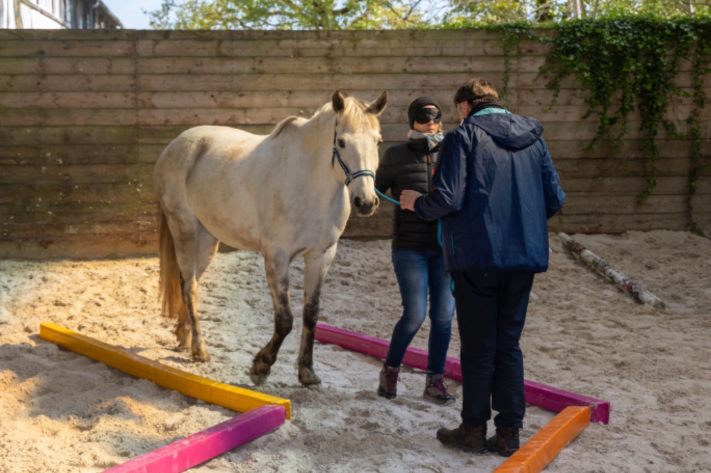 photo cabinet Mathilde Lecluse
