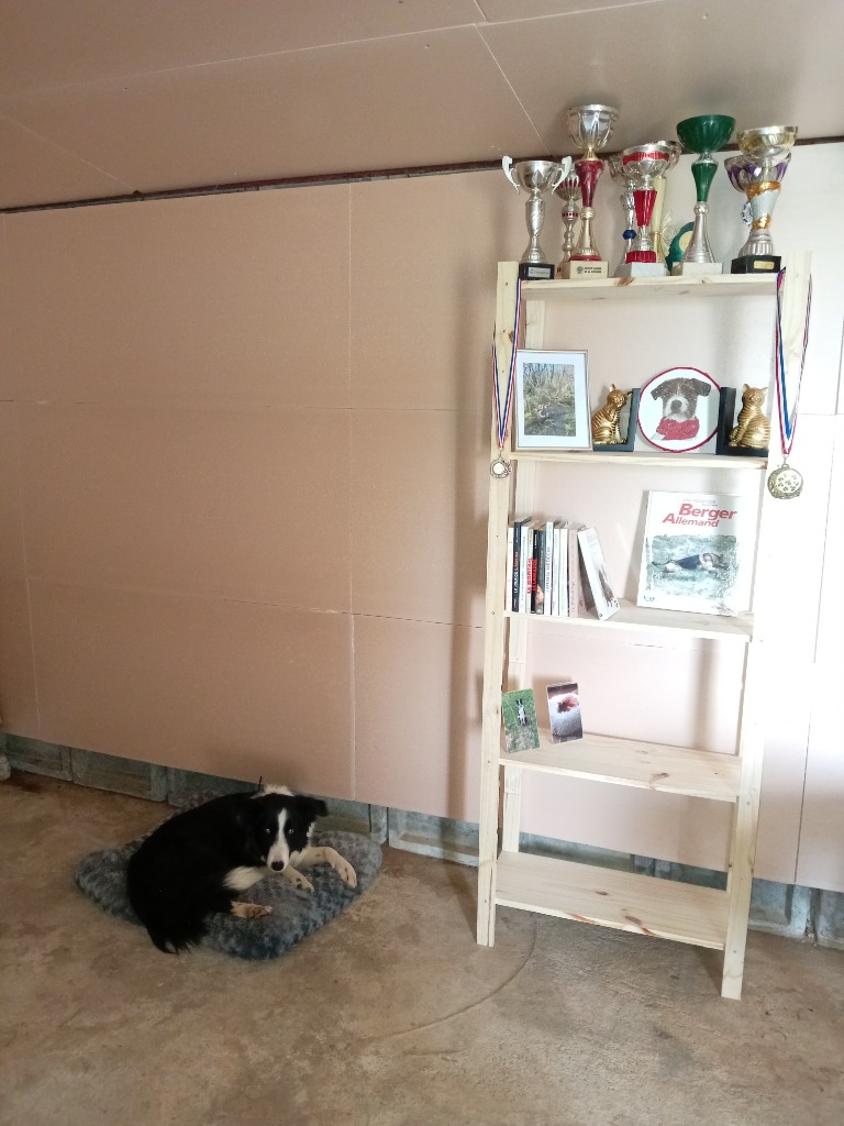 photo cabinet Cécile Massoubre Mareillaud EI