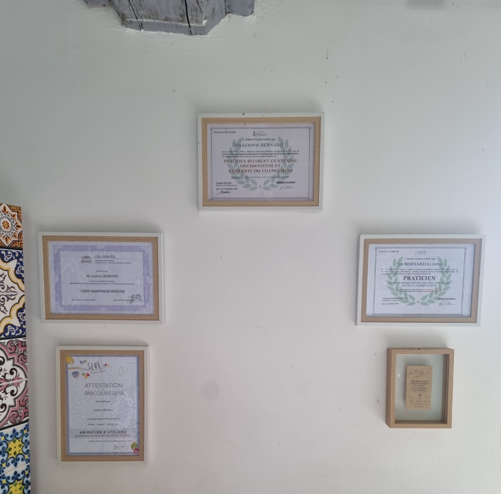 photo diplome Ludovic BERNARD