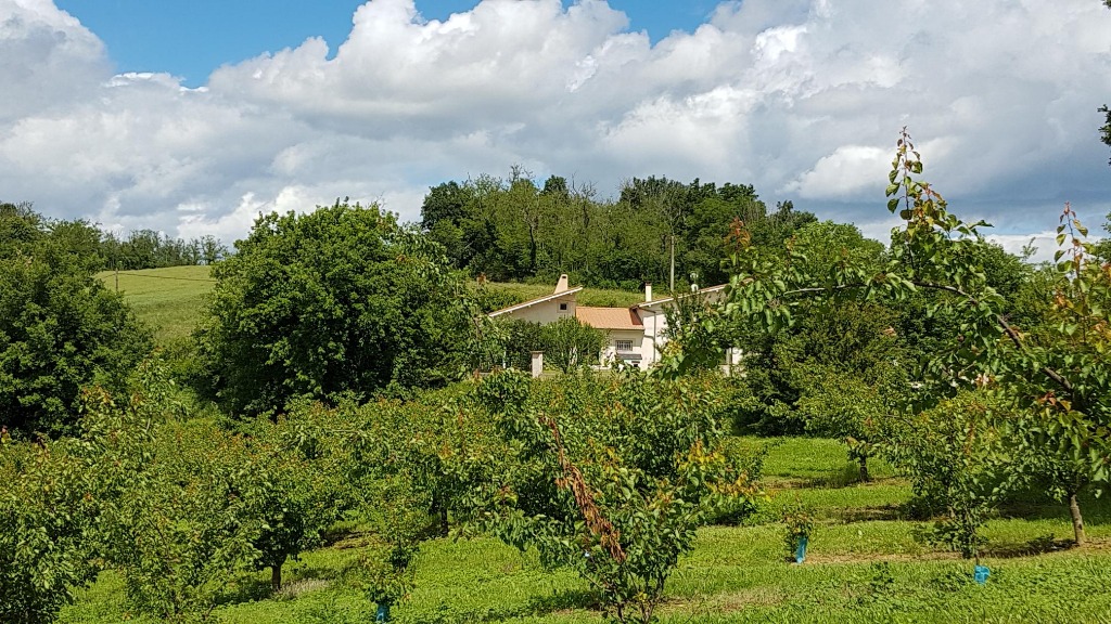 photo diplome Le Monde d’Izélia