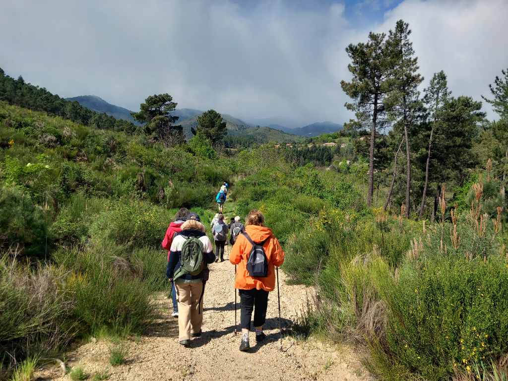 photo activite Dominique Dubois