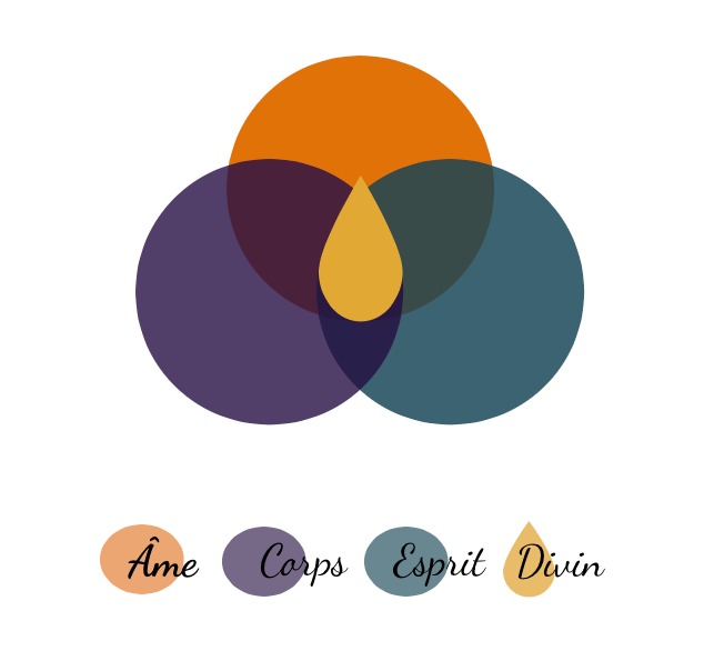 photo cabinet Sophie Vallée