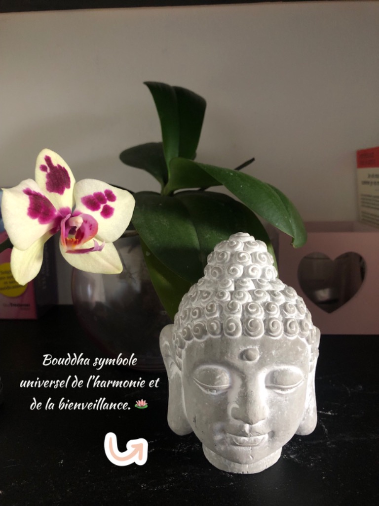 photo seance Theano Jennifer 